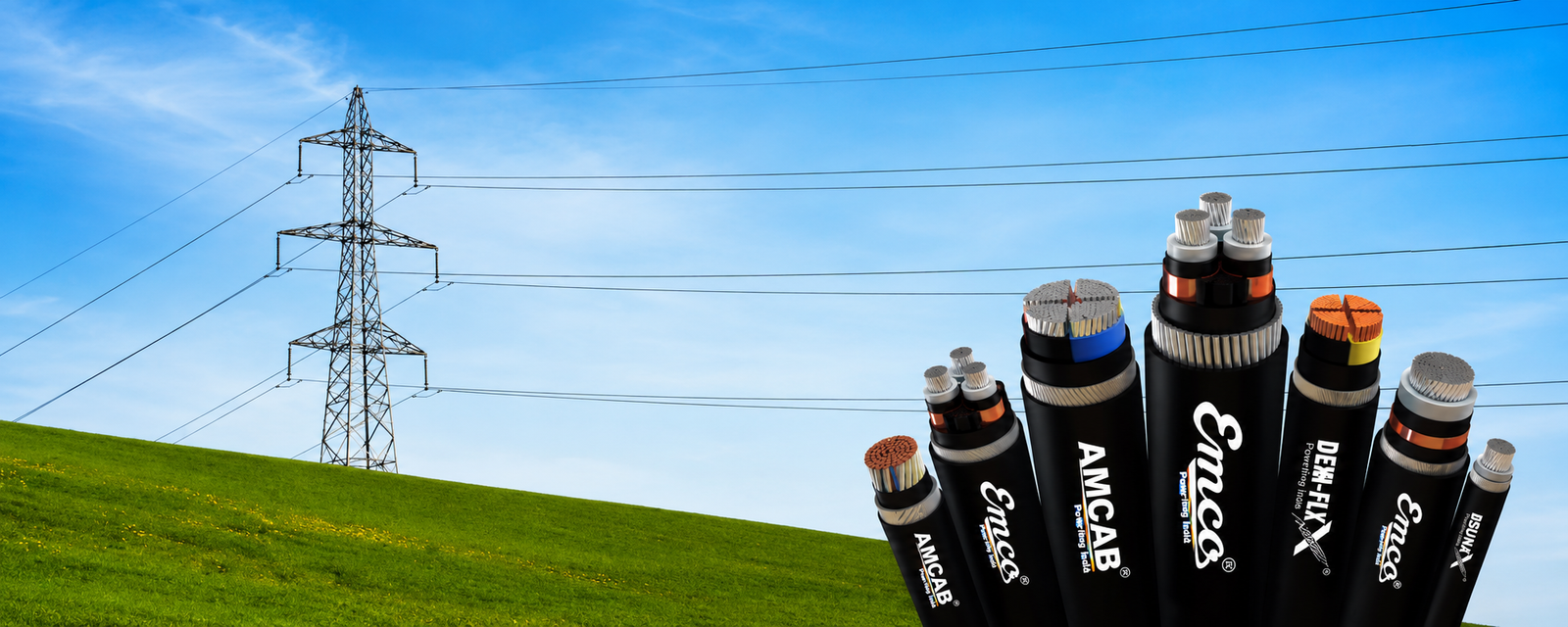 Slider Image 3